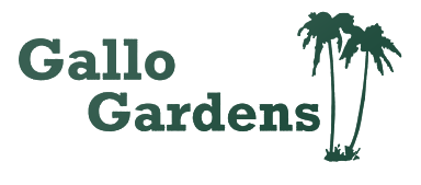 Gallo Gardens - Landscape service